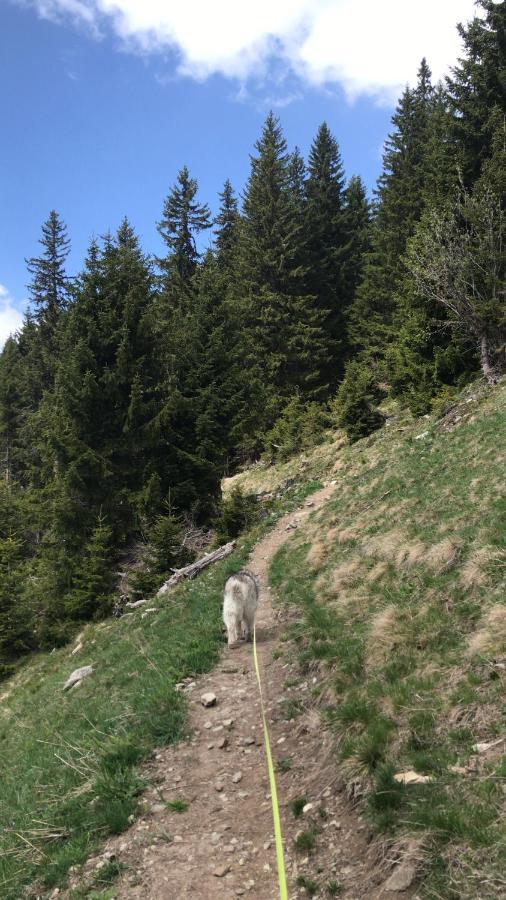 Ferienwohnung Uf Z'Enisch Klosters Buitenkant foto